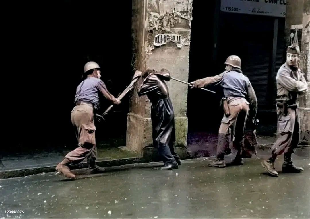 مظاهرات 11 ديسمبر 1960