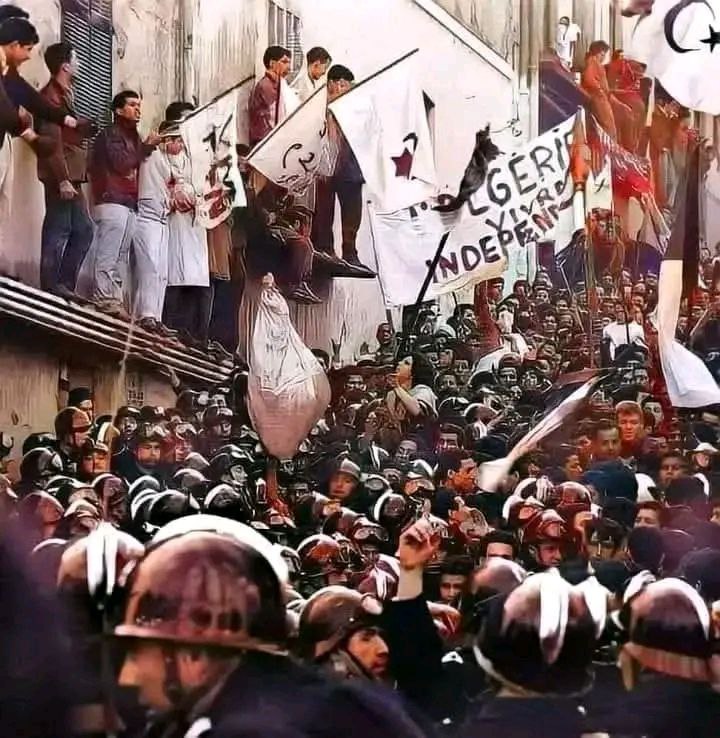 صورة أرشيفية 6