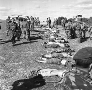 صورة أرشيفية 4